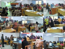 桂林貴嫂家政服務 專業廚嫂、鐘點工與保育師全方位解析