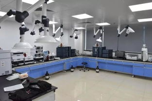 號外！玉環市食品藥品檢驗檢測中心搬家啦，家政服務同步煥新